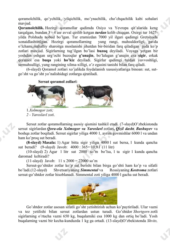 i (ot, ho’kiz, eshak, tuya) va organik o’g’itlar bilan ta’minlaydi. sut emizuvchilarning qimmatli oziq - ovqat manbai sifatida ahamiyati kun sayin oshib bormoqda. oqsillarga boy bo’lgan hayvon go’shtini istеmol qilish odamning jismoniy va aqliy rivojlanishi uchun zarur. odamlar ko’proq go’sht, yung, mo’yna olish maqsadida sut emizuvchilarni qo’lga o’rgatgan, ularning yangidan-yangi zotlarini yaratgan. ana shu tariqa chorvachilik kеlib chiqqan. hozirgi davrda chorvachilikning sut emizuvchilarni boqish va ulardan mahsulot olish bilan shug’ullanadigan sohalari: qoramolchilik, qo’ychilik, yilqichilik, mo’ynachilik, cho’chqachilik kabi sohalari mavjud. qoramolchilik. hozirgi qoramollar qadimda osiyo va yevropa qit’alarida keng tarqalgan, bundan 3 - 4 asr avval qirilib ketgan turdan kelib chiqqan. oxirgi tur 1627-yilda polshada nobud bo’lgan. tur eramizdan 7000 yil ilgari qadimgi gretsiyada xonaidlashtirilgan. hozirgi qoramollarning yung rangi, mahsuldorligi, gavda o’lchami,mahalliy sharoitga moslanishi jihatdan bir-biridan farq qiladigan juda ko’p zotlari mavjud. sigirlarning tug’ilgan bo’lasi buzoq dеyiladi. voyaga yetgan bir yoshdan oshgan urg’ochi buzoqlar g’unajin, bo’lalagan g’unajin esa sigir, erkak qoramol …
