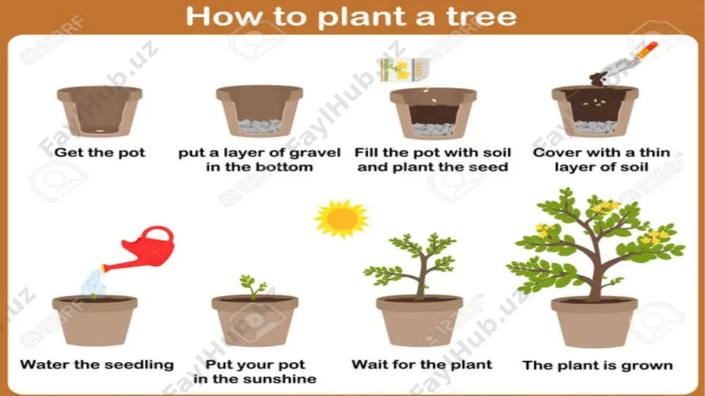 plant cultivation - Page 4