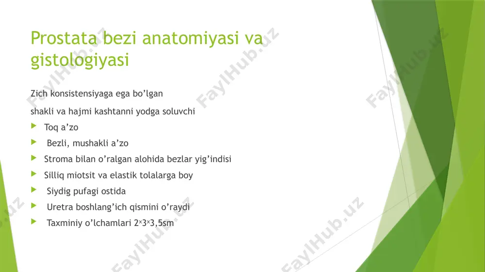 septorlari bilan bog’lanishi hujayra o’sishini rag’batlantiradi. estrogenlar: yosh o’tishi bilan estrogen va androgenlar nisbatining o’zgarishi stromal hujayralarning o’sishini kuchaytiradi. o’sish omillari: fibroblast o’sish omili (fgf), transformatsiyalovchi o’sish omili beta (tgf-β) kabi omillar stromal va epitelial hujayralarning proliferatsiyasiga ta’sir qiladi. intechopen – open science open minds yallig’lanish: prostata to’qimasida surunkali yallig’lanish bph rivojlanishiga hissa qo’shishi mumkin. mikroskopik jihatdan olganda prostata bezi adenomasining bezsimon, fibroz-muskulli va aralash xillari tafovut qilinadi. bezsimon xilida adenomatoz tugunlar bir-biriga zich joylashgan va shoxlanib talaygina kriptalar hamda so’rg’ichli o’simtalar hosil qiladigan bezlardan iborat –bo’ladi. bu bezlar 1-2 qavat yuqori prizmatik epiteliy hujayralari bilan qoplanib turadi. bezlarning chiqarish yo’llarida quyuqlashib qolgan sekret, amiloid tanachalari, leykositlarning to’plamlari ko’zga tashlanadi. bez stromasi hujayra elementlari kam va limfotsitlar bilan infiltrlangan fibroz-muskulli to’qimadan iborat bo’ladi. fibroz stroma qalinlashib ketgan bo’lsa, buni prostata bezi fibroadenomasi deyiladi. adenomaning fibroz-muskulli xili ko’pgina tugunlar hosil bo’lishi bilan ta’riflanadi. bu tugunlar hujayra elementlariga va muskul tipidagi hujayralarga …