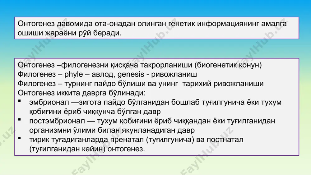 и ушловчи дўмбоқ 6 –фолликула бўшлиғи 7 – фолликуланинг ички пардаси 8 – фолликуланинг ташқи пардаси маълумки тухум ҳужайра цитоплазмаси (ооплазма) да сариқлик, яъни озиқа моддалар йиғиндиси бор. одам тухум ҳужайраси диаметри 130 мкм (1 мкм =0,001 мм). тухум ҳужайралар оогенез натижасида ҳосил бўлади. тухум ҳужайралар классификацияси сариқлик миқдорига кўра хиллари: полилецитал мезолецитал олиголецитал алецитал сариқлик жойлашувига кўра хиллари: телолецитал гомо (изо) –лецитал центролецитал тухум ҳужайраларнинг сариқлик миқдорига кўра хиллари телолецитал тухум ҳужайра – сариқлик тухум ҳужайранинг вегетатив қутбига силжиган изолецитал тухум ҳужайра – сариқлик бир текис тақсимланган центролецитал тухум ҳужайра – сариқлик тухумнинг марказидажойлашади эмбрионал ривожланишининг 4 ҳафтасидан сперматогенезнинг кўпайиш даври бошланади ривожланиш дастлаб сариқликда кейин эсауруғдоннинг эгри-бугриканалчаларининг энг ташқи зонасида жойлашган ҳужайралар – сперматогонийларнинг мунтазам равишда митоз йўли билан кўпайиши билан боради: а турдаги ўзак сперматогонийлар ва улардан б турдаги сперматогонийлар ҳосил бўлади. спермиогенез - сперматидаларнинг сперматазоидларга айланишидир сперматогенез мураккаб жараён бўлиб дастлаб сперматид ядроси кичиклашади хроматин зичлашиб …
