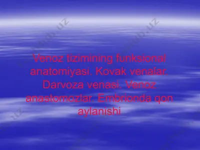 venoz tizimining funksional anatomiyasi — PPTX