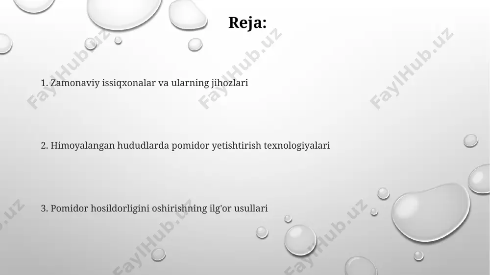 oldin yoki ko'chat ekilgandan keyin 2-3 hafta o'tgach, 30-40 g/m² miqdorida qo'llash tavsiya etiladi. ko'chat yetishtirish ko'chat yetishtirishda 25-30 kunlik optimal harorat 22-25°c oralig'ida saqlanishi, shuningdek, namlik darajasi 70-80% bo'lishi muhim hisoblanadi. ko'chatlarni 2-3 haqiqiy barg paydo bo'lgandan keyin individual qozonchaga ekish, ularning ildiz tizimini mustahkamlash va keyinchalik transplantatsiyadan stressni kamaytirishga yordam beradi. gibberellin kabi o'sish regulyatorlaridan 10-15 ppm konsentratsiyada foydalanish ko'chatlarning bo'yini uzaytirishga va hosildorlikni oshirishga yordam beradi. ekish va parvarish suv iste'molini kamaytirish va tuproq unumdorligini oshirish uchun tomchilab sug'orish texnologiyasini qo'llash 30-40% suv tejashga olib keladi. 5-7 kun oralig'ida o'g'itlashni amalga oshirish orqali, pomidor o'simliklarining o'sishini va meva hosilini 15-20% ga yaxshilash mumkin. himoya qilingan yerlarda pomidor yetishtirishda optimal o'simlik zichligi 3-4 o'simlik/m² ni tashkil etadi, bu esa hosildorlikni 20-30% ga oshirish imkonini beradi. hosil yig'ish va saqlash pomidorlarni tashish vaqtida mexanik shikastlanishning oldini olish uchun maxsus konteynerlardan foydalanish, har bir konteynerga 10-15 kg dan ortiq pomidor …