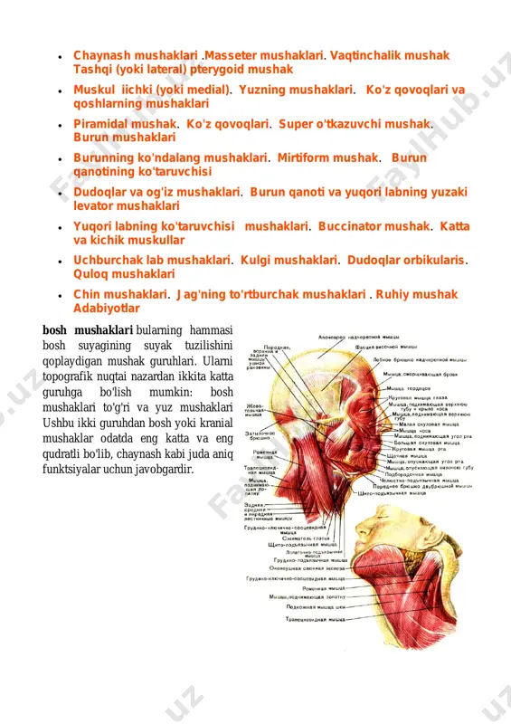 uda aniq funktsiyalar uchun javobgardir. https://uz.warbletoncouncil.org/musculos-de-la-cabeza-3731#menu-4 https://uz.warbletoncouncil.org/musculos-de-la-cabeza-3731#menu-5 https://uz.warbletoncouncil.org/musculos-de-la-cabeza-3731#menu-6 https://uz.warbletoncouncil.org/musculos-de-la-cabeza-3731#menu-7 https://uz.warbletoncouncil.org/musculos-de-la-cabeza-3731#menu-8 https://uz.warbletoncouncil.org/musculos-de-la-cabeza-3731#menu-9 https://uz.warbletoncouncil.org/musculos-de-la-cabeza-3731#menu-10 https://uz.warbletoncouncil.org/musculos-de-la-cabeza-3731#menu-10 https://uz.warbletoncouncil.org/musculos-de-la-cabeza-3731#menu-11 https://uz.warbletoncouncil.org/musculos-de-la-cabeza-3731#menu-12 https://uz.warbletoncouncil.org/musculos-de-la-cabeza-3731#menu-13 https://uz.warbletoncouncil.org/musculos-de-la-cabeza-3731#menu-14 https://uz.warbletoncouncil.org/musculos-de-la-cabeza-3731#menu-15 https://uz.warbletoncouncil.org/musculos-de-la-cabeza-3731#menu-16 https://uz.warbletoncouncil.org/musculos-de-la-cabeza-3731#menu-17 https://uz.warbletoncouncil.org/musculos-de-la-cabeza-3731#menu-17 https://uz.warbletoncouncil.org/musculos-de-la-cabeza-3731#menu-18 https://uz.warbletoncouncil.org/musculos-de-la-cabeza-3731#menu-19 https://uz.warbletoncouncil.org/musculos-de-la-cabeza-3731#menu-19 https://uz.warbletoncouncil.org/musculos-de-la-cabeza-3731#menu-20 https://uz.warbletoncouncil.org/musculos-de-la-cabeza-3731#menu-21 https://uz.warbletoncouncil.org/musculos-de-la-cabeza-3731#menu-22 https://uz.warbletoncouncil.org/musculos-de-la-cabeza-3731#menu-23 https://uz.warbletoncouncil.org/musculos-de-la-cabeza-3731#menu-23 https://uz.warbletoncouncil.org/musculos-de-la-cabeza-3731#menu-24 https://uz.warbletoncouncil.org/musculos-de-la-cabeza-3731#menu-25 https://uz.warbletoncouncil.org/musculos-de-la-cabeza-3731#menu-26 https://uz.warbletoncouncil.org/musculos-de-la-cabeza-3731#menu-27 https://uz.warbletoncouncil.org/musculos-de-la-cabeza-3731#menu-28 https://uz.warbletonco