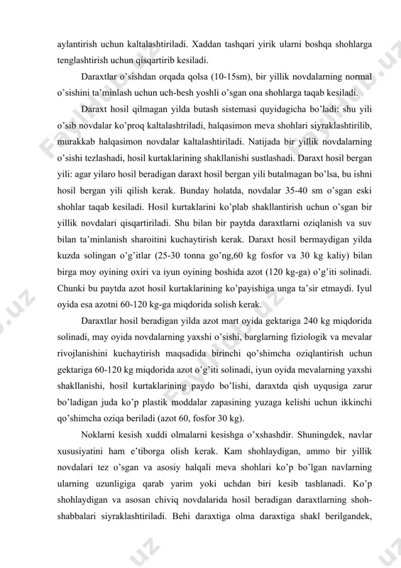 chaytirish maqsadida birinchi qo’shimcha oziqlantirish uchun gektariga 60-120 kg miqdorida azot o’g’iti solinadi, iyun oyida mevalarning yaxshi shakllanishi, hosil kurtaklarining paydo bo’lishi, daraxtda qish uyqusiga zarur bo’ladigan juda ko’p plastik moddalar zapasining yuzaga kelishi uchun ikkinchi qo’shimcha oziqa beriladi (azot 60, fosfor 30 kg). noklarni kesish xuddi olmalarni kesishga o’xshashdir. shuningdek, navlar xususiyatini ham e’tiborga olish kerak. kam shohlaydigan, ammo bir yillik novdalari tez o’sgan va asosiy halqali meva shohlari ko’p bo’lgan navlarning ularning uzunligiga qarab yarim yoki uchdan biri kesib tashlanadi. ko’p shohlaydigan va asosan chiviq novdalarida hosil beradigan daraxtlarning shoh-shabbalari siyraklashtiriladi. behi daraxtiga olma daraxtiga shakl berilgandek, yarusli siyraklashtirilgan shakl beriladi. daraxtning ko’p yillik shohlarini shakllashda ularning bir-biriga moyillashtirish butash kerak. utkir burchakli bo’lib kolishiga yo’l kuymaslik lozim. daraxt to’la hosilga kirgach, novdalarning o’sishi keskin kamayadi va meva berish kalta shohlarga o’tadi. bu davrda hosilli shohlarning xaddan tashqari ko’payib ketishining oldini olish uchun pastroqda joylashgan hosilli shohcha takab …