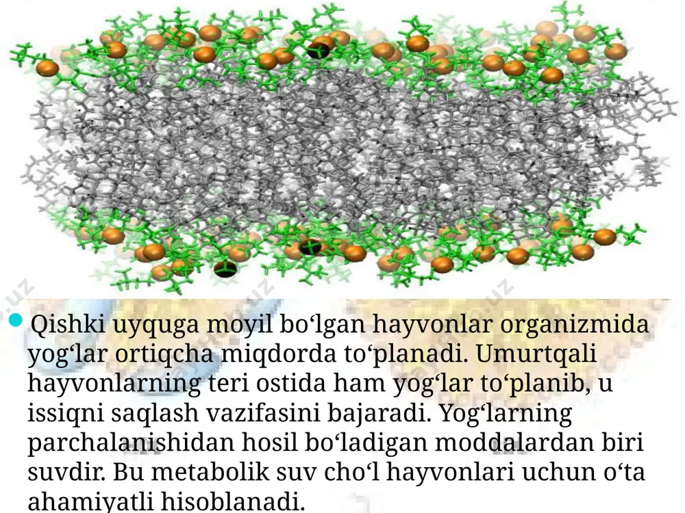 lipidlar. 9 - sinf - Page 4