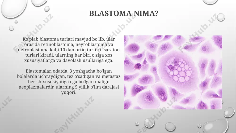 blastomalarga qarshi vositalar - Page 5