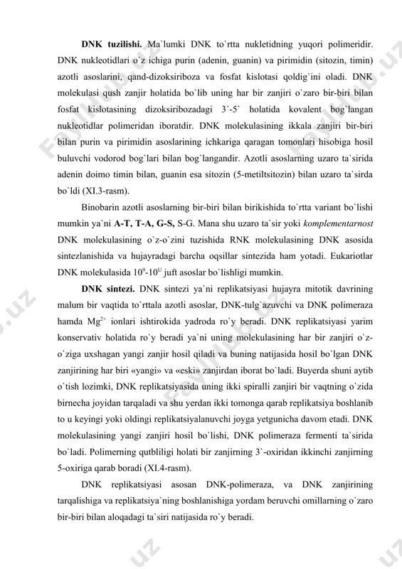 da bo`ladi. polimerning qutbliligi holati bir zanjirning 3`-oxiridan ikkinchi zanjirning 5-oxiriga qarab boradi (xi.4-rasm). dnk replikatsiyasi asosan dnk-polimeraza, va dnk zanjirining tarqalishiga va replikatsiya`ning boshlanishiga yordam beruvchi omillarning o`zaro bir-biri bilan aloqadagi ta`siri natijasida ro`y beradi. rnk tuzilishi va sintezi. barcha rnk molekulalari ham to`rtta azotli asoslardan tuzilgandir. ammo ularda pirimidin asosi bo`lgan timin o`rning uratsil egallagan. shuningdek pentozalar shaklida dezoksiriboza emas, balki riboza mavjuddir. rnk molekulasining ulchamlari har xildir (xi.5-rasm). masalan: mrnk 1000-10000 atrofidagi nukleotidlar ketma ketligidan iborat bo`lib hujayradagi barcha rnk miqdorining 1-3% foizini tashkil qilishi mumkin . ribosomalardagi rrnk molekulasining o`zi ham har xil svedberg (yadrochalarda sintezlanadigan 18s, 5,8s, 28s) sedimentatsiyalariga ega bo`lgan va 5s-phk (birnechta xromosomalarda sintezlanadi) tuzilishiga ega to`rt xil ko`rinishda bo`ladi. har bir 20 dona aminokislotaning o`ziga xos trnk bo`lib ularning tarkibidagi nukleotidlar soni 75-80 dona bo`lishi mumkin. shuningdek trnk tarkibiga ko,`plab metillashgan va boshqa nukleozidlar kiradi. rnk molekulalari qo`sh zanjir hosil qilmaydi. ammo …