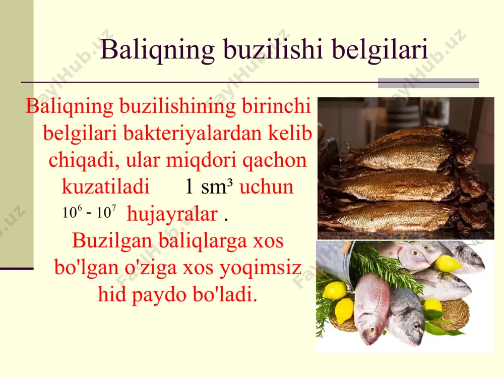 baliq va baliq mahsulotlari mikrobiologiyasi - Page 5