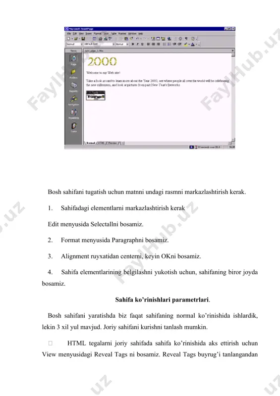microsoft front page 2000 - Page 5