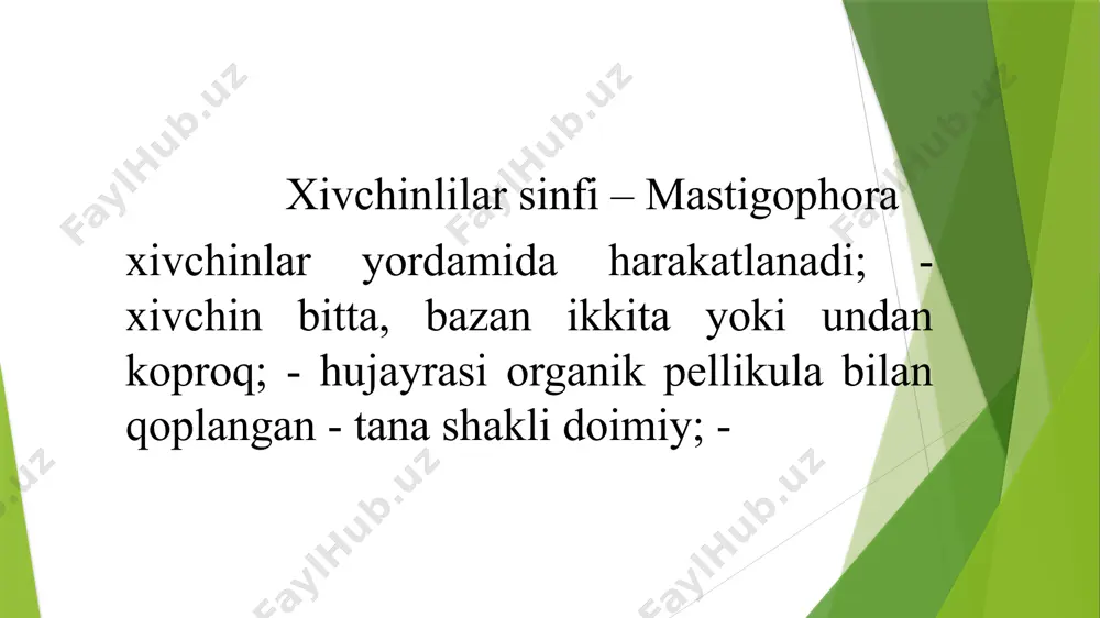 tibbiy parazitologiya mustaqil ishi - Page 3