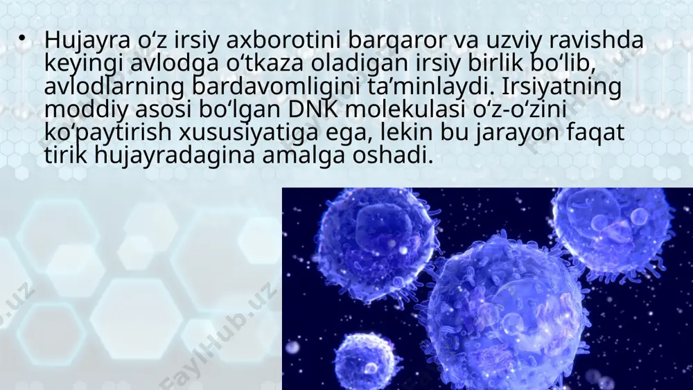 hujayra tiriklikning irsiy birligi. 10 - sinf - Page 3
