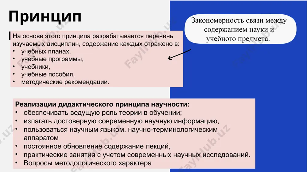 принципы обучения и их преломление в образовательном процессе - Page 5