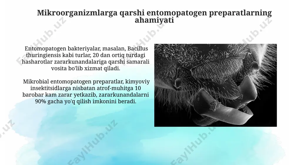 mikrobli entopotogen preparatlarning ahamiyati - Page 4