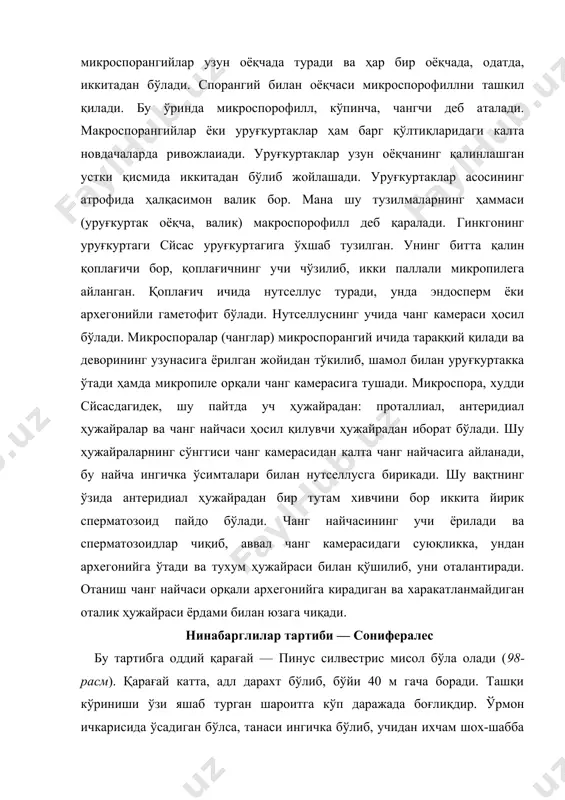 оғлиқдир. ўрмон ичкарисида ўсадиган бўлса, танаси ингичка бўлиб, учидан ихчам шох-шабба чиқаради, очиқ жойда ёки ўрмоннинг сийрак жойларида ўсадиган бўлса, танаси тезда шохланиб, шох-шаббалари ёйилиб кетади. шохларининг учида ҳар йили янги чиқарадиган новдалар бор. бу новдалар икки хил бўлади: бир хили узун ва қўнғир тангачалар билан қопланган бўлса, иккинчи хили калта бўлиб, ўша тангачалар қўлтиғидан жой олади ва учидан иккита нинасимон нинабарг чиқаради. қарағай танасининг анатомик, тузилиши жуда характерлидир. ўзак қисми жуда кам тараққий этган; камбий ҳалқаси ишлаб чиқарадиган иккиламчи ёғоч қисми эса бошдан-оёқ трахеидлардан тузилган, сув найлари йўқ. бўйи баъзан 3-4 мм га борадиган трахеидларнинг радиал деворларида ғалати ҳошияли тешикчалар бўлади, трахеидлар йиллик ҳалқалар ҳосил қилади. ҳар бир йиллик ҳалқада юпқа деворли сербар трахеиддан иборат баҳорги ёғоч билан қалин деворли камбар трахеиддан тузилган кузги ёғочни ажратиш мумкин. ёғоч қисмидан бир талай ўзак нурларн ўтган, улардан ташқари, ёғоч қисмида ҳамма вақт смола йўллари бўлади. камбий қатлами ёғоч қисмини тангачасимон пўст …