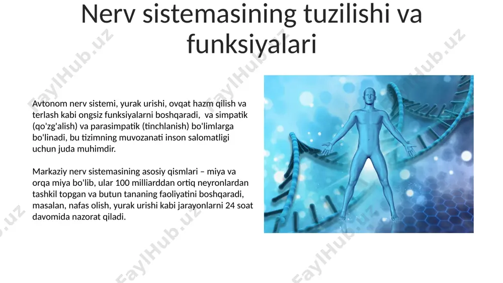 nerf sistemesi va kassalliklari - Page 5