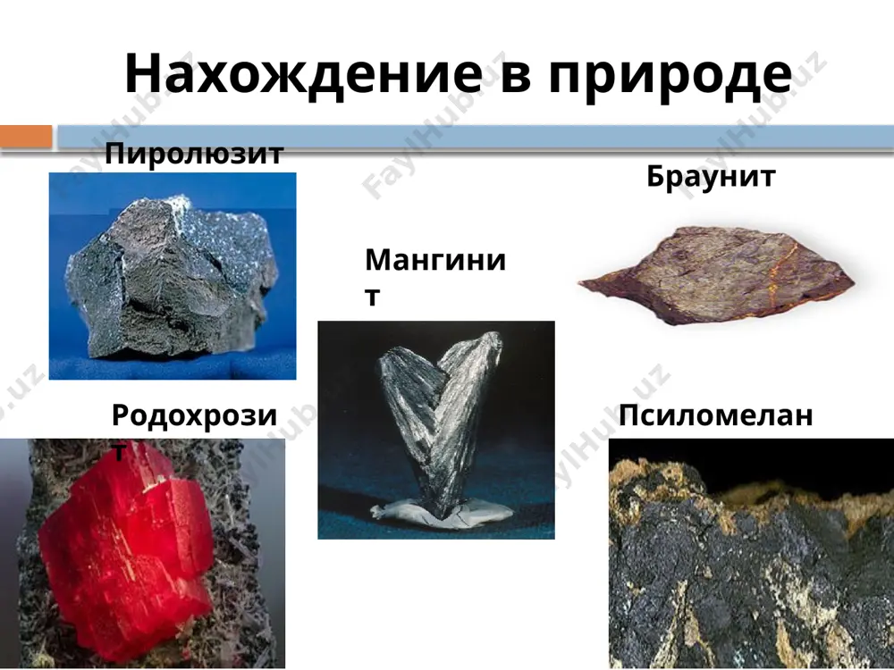 - (amfoterniy) - veshestvo chyornogo tsveta. obrazuetsya pri razlojenii nitrata margantsa(ii) mn(no3)2 = mno2+2no2 pod deystviem silnix okisliteley v splave so shyolochyu perexodit v s. o. +6 mno2 + na2co3 +nano3 →na2mno4+ nano2+co2 mno2 mojet okislyat galogenidi i galogenvodorodi v kisloy srede i perexodit v s.o. +2 : mno2+4hcl =mncl2+cl2+2h2o soedineniya margantsa (vi) mn+6o3 proyavlyayut kislotniy xarakter, h2mn+6o4 v svobodnom vide ne polucheni. stepen okisleniya + 6 u margantsa naimenee ustoychiva: sushestvuet tolko s silnoshelochnom rastvore v vide soley zelyonogo tsveta – manganatov manganati poluchayut pri vosstanovlenii permanganatov v shelochnoy srede 2kmno4 = k2mno4 + mno2 + o2 na2so3 +2kmno4 + koh=na2so4+k2mno4+h2o mno2+2koh+kno3 = k2mno2+kno2+h2o ili pri okislenii soley i oksidov margantsa +2 i +4 silnimi okislitelyami v prisutstvii shyolochi: mnso4 + 2kclo3 + 12koh = 3k2mno4 + 2kcl +3k2so4 +6h2o vodoy manganati bistro razlagayutsya (disproportsioniruyut na +7 i +4) 2k2mno4 + 2n2o = kmno4 + mno2 + 4kon manganati …
