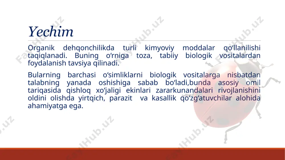 qishloq xo‘jaligida xonqizi qo‘ng‘izlarining ahamiyati - Page 3