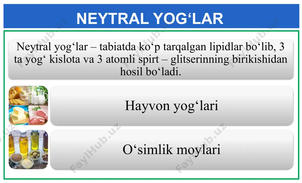 lipidlar - Page 3