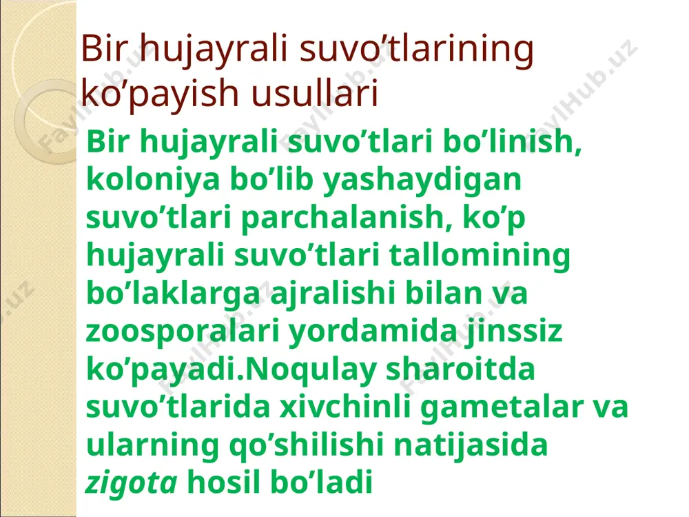 o’simliklarning generativ organlari filogenezi - Page 5