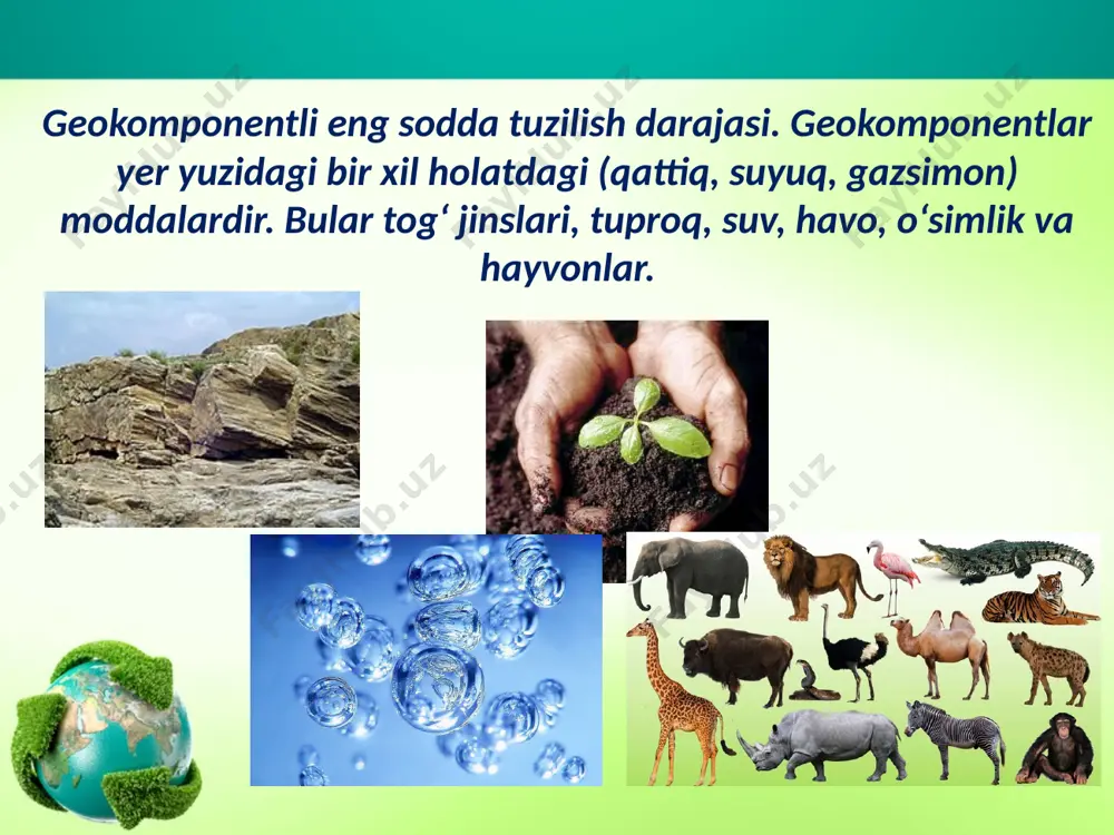 geografik qobiq va uning umumiy qonuniyatlari. 10 - sinf - Page 5