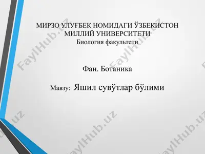 яшил сувўтлар бўлими — PPTX