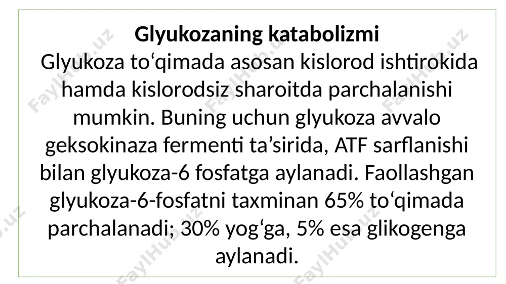 lish zanjiri da oksidlanadi. malat «mokki» mexanizmida esa elektronlarni sitoplazmadan mitoxondriyaga o‘tish uchun nad·h2 sitoplazmadagi shuk (oksaloatsetat) bilan birikib oksidlanadi. malat mitoxondriya membranasidan osongina o‘tib, mitoxondriyaning ichida mdg (malatdegidrogenaza) fermenti ta’sirida oksidlanadi va qaytadan shuk hamda nad·h2 ga parchalanadi; shuk sitoplazmaga o‘tadi, nad·h2 esa mitoxondriyadan to‘qima nafas olish zanjirida oksidlanadi. uglevodlarning anaerob yo‘l bilan parchalanishi (glikoliz va glikogenoliz) uglevodlarning anaerob (kislorodsiz) parchalanishi glyukozadan yoki glikogendan boshlanishi mumkin. glyukozaning anaerob parchalanishi – glikoliz, glikogenniki esa – glikogenoliz deyiladi. har ikki holda ham oxirgi mahsulot sut kislotasi (laktat)dir (58-rasm). glikogenolizda 1-bosqich, ya’ni glikogendan glyukoza-1-fosfat hosil bo‘lishi ortiqdir: qolgan bosqichlari glikoliz bilan bir xil boradi. anaerob parchalanishni glyukoza-6-fosfatdan toki piruvat hosil bo‘lguncha davom etadigan hamma bosqichlari glyukozaning aerob parchalanishi (ya’ni glikolitik bosqich) bilan bir xildir. uglevodlarning anaerob parchalanishi quyidagi bosqichlarda kechadi: glikoliz uchun ikki hodisa xarakterlidir: substratli fosforlanish; 2) glikolitik oksidoreduksiya. substratli fosforlanishni oksidlanish yo‘li bilan fosforlanishdan farqi– bunda membrana va elektronlar o‘tkazish …