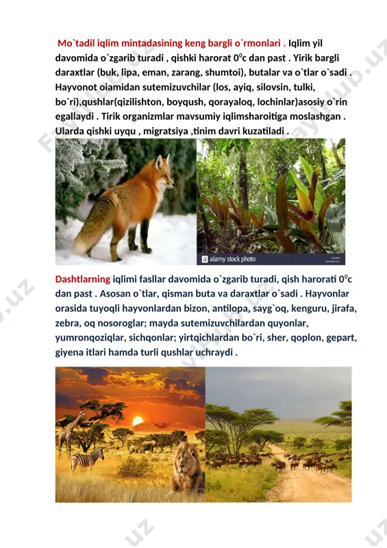 ng . a b c rasmda berilgan biom qaysi javobga to`g`ri berilgan. a. cho`l b. dasht c. adir iv .yangi mavzu yuzasidan va uyga berilgan vazifani so`rash (10 daqiqa ) o`quvchilar tanlangan 4 ta guruhga bo`linib joylariga o`tirishadi . 1-guruh . tundra 2-guruh. tayga 3. guruh. dasht 4-guruh. sahro o`qituvchi tomonidan oldingdan tayyorlab qo`yilgan savol va topshiriqlarni guruhlar boshlig`i chiqib tanlab oladilar . “o`zing bajar “ bu shartda o`quvchilar berilgan topshiriqlarni mustaqil bajaradilar . 1-guruhga . tabiiy ekosistemalar quruqlik ekosistemalari tundra, igna bargli o`rmon haqida ma`lumot bering . 2-guruhga . mo`tadil iqlimli mintaqalarning keng bargli o`rmonlari, dashtlar haqida ma`lumot bering 3-guruh . o`tloqlar, sahrolar, tropik o`rmonlar haqida ma`lumot bering 4-guruh . chuchuk suv ekosistemalari, dengiz ekosistemalari haqida ma`lumot bering . guruhlar taqdimoti (10 daqiqa ) v . o`quvchilarni rag`batlantirish va baholash (2 daqiqa ) dars yakuniga guruh o`quvchilari to`plagan ballariga qarab rag`batlantiriladi . vi. uyga topshiriq ( 2-daqiqa ) . …