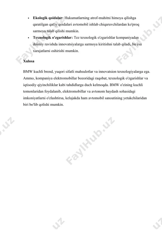bmw swot tahlili - Page 3