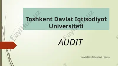 audit — PPTX