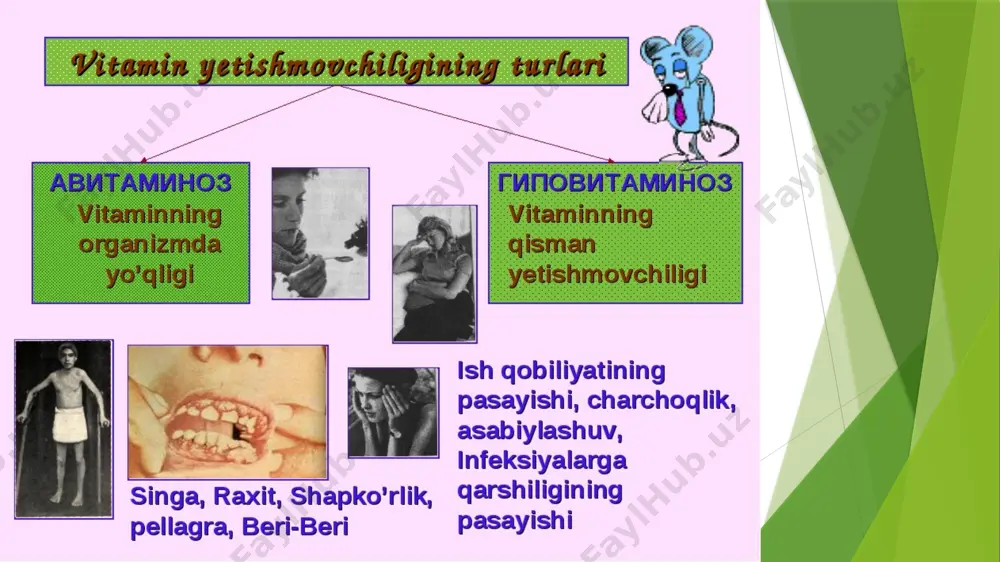 avitaminozlar va gipovitaminozlar - Page 3