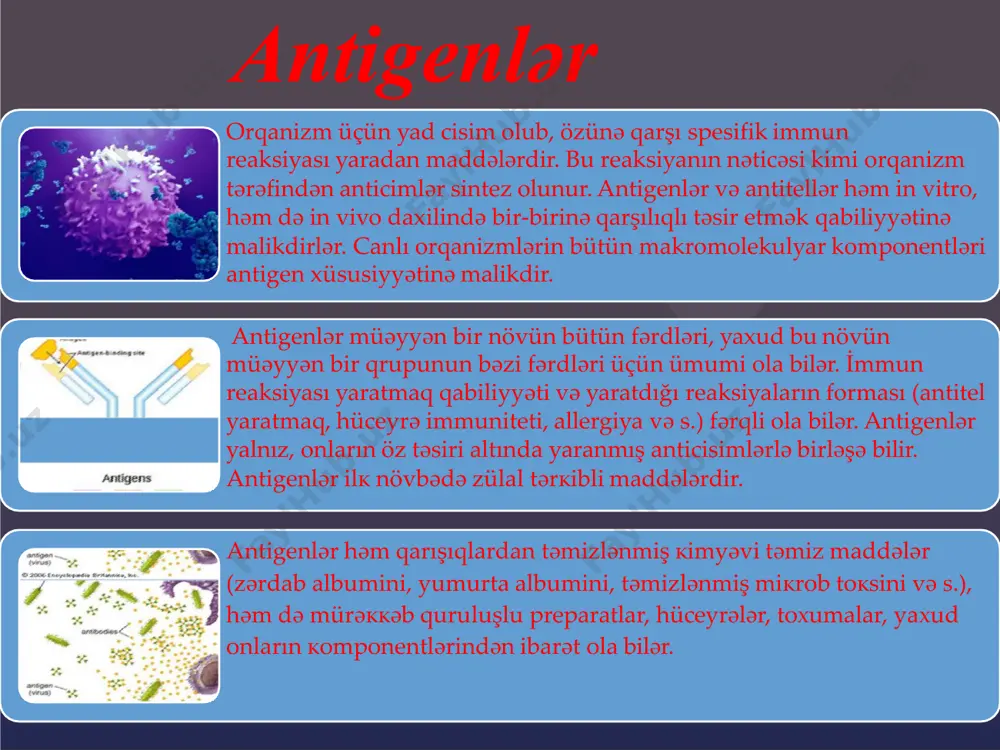 gen antigenlər- bədənə xaricdən daxil olan antigenlərdir,(tənəffüs, udma və ya inyeksiya yolu ilə). endositoz və ya faqositozla ekzogen antigenlər antigen təqdim edən hüceyrələrə aparılır və lizisə uğrayır. bəzi antigenlər ekzogen olaraq başlayır və daha sonra endogen olur (məsələn, hüceyrədaxili viruslar).  endogen antigenlər- viral və ya hüceyrədaxili bakterial infeksiya nəticəsində normal hüceyrələrdə əmələ gəlir.  avtoantigen ümumiyyətlə özünəməxsus bir protein və ya zülal kompleksidir (dnt və ya rnt), müəyyən bir avtoimmun xəstəlikdən əziyyət çəkən xəstələrin immun sistemi tərəfindən tanınır. normal şərtlərdə isə öz zülalları immunitet sisteminin hədəfi olmamalıdır.  neoantigenlər normal insan genomunda tamamilə olmayan maddələrdir. t hüceyrəsinin neoantigenlərə qarşı reaktivliyini sistemli şəkildə analiz edən texnologiya bu yaxınlarda mövcud oldu. şiş antigenləri şiş hüceyrələrinin səthində mhc sinif i və ya mhc sinif ii molekulları tərəfindən təqdim olunan antigenlərdir. yalnız bu cür hüceyrələrdə olan antigenlərə şişə spesifik antigenlər deyilir. bu antigenləri tanıyan sitotoksik t limfositləri şiş hüceyrələrini məhv edə bilər. şiş …