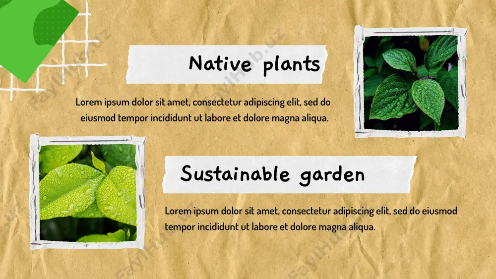 ecology sustainability & presentations - Page 4