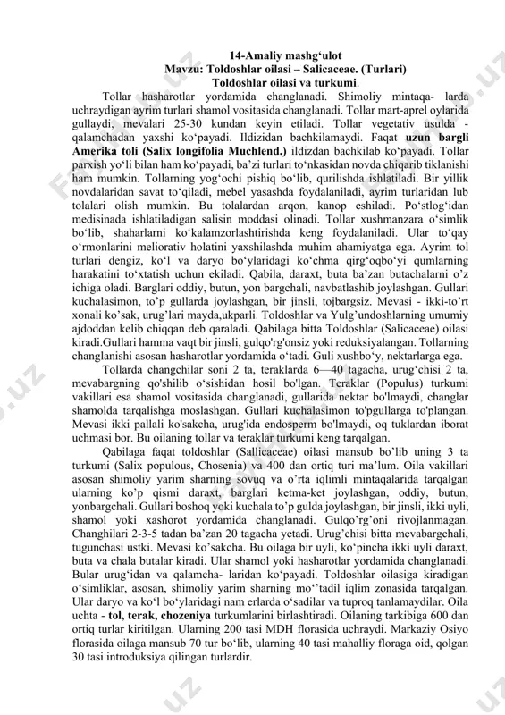 oq tuklardan iborat uchmasi bor. bu oilaning tollar va teraklar turkumi keng tarqalgan. qabilaga faqat toldoshlar (sallicaceae) oilasi mansub bo’lib uning 3 ta turkumi (salix populous, chosenia) va 400 dan ortiq turi ma’lum. oila vakillari asosan shimoliy yarim sharning sovuq va o’rta iqlimli mintaqalarida tarqalgan ularning ko’p qismi daraxt, barglari ketma-ket joylashgan, oddiy, butun, yonbargchali. gullari boshoq yoki kuchala to’p gulda joylashgan, bir jinsli, ikki uyli, shamol yoki xashorot yordamida changlanadi. gulqo’rg’oni rivojlanmagan. changhilari 2-3-5 tadan ba’zan 20 tagacha yetadi. urug’chisi bitta mevabargchali, tugunchasi ustki. mevasi ko’sakcha. bu oilaga bir uyli, ko‘pincha ikki uyli daraxt, buta va chala butalar kiradi. ular shamol yoki hasharotlar yordamida changlanadi. bular urug‘idan va qalamcha- laridan ko‘payadi. toldoshlar oilasiga kiradigan o‘simliklar, asosan, shimoliy yarim sharning mo‘’tadil iqlim zonasida tarqalgan. ular daryo va ko‘l bo‘ylaridagi nam erlarda o‘sadilar va tuproq tanlamaydilar. oila uchta - tol, terak, chozeniya turkumlarini birlashtiradi. oilaning tarkibiga 600 dan ortiq turlar kiritilgan. …