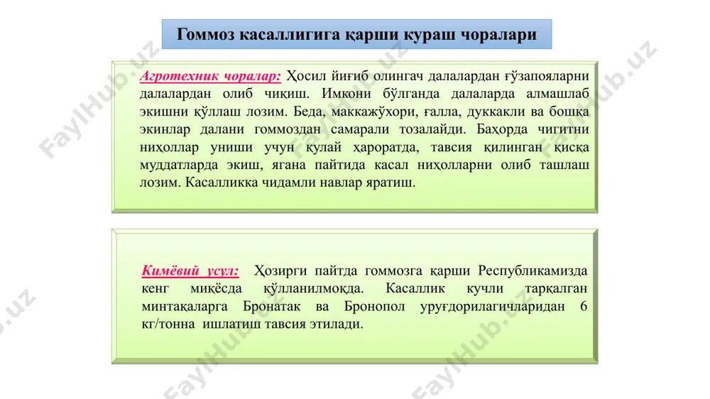 ida va barcha rivojlanish fazalarida zararlaydi. 0’simliklarning ildiz qismidan tashqari barcha organlari - urugbarg, nihollar, chin barg, barg bandi, poya, ko’sak, ko’sak bandi, tola va chigit zararlanadi. antraknoz ayniqsa yosh nihollarga va ko'saklarga katta zarar yetkazadi. patogen o'simlik to'qimasiga odatda mexanik jarohatlar va hasharotlar paydo qilgan yaralar orqali kiradi, ammo konidiya chiqargan infeksion gifa toqimaga togridan-togri ham kira oladi.zamburug to’qima ichida (endogen shaklda) rivojlanadi, tashqariga faqat konidiya hosil qiluvchi organlari chiqadi. zararlangan urug ekilishi urugpalla va yosh nihollar zararlanishiga olib keladi. ularda paydo bo’lgan konidiyalar yomgir tomchilari, hasharotlar va shamol orqali soglom o'simliklarga tarqaladi va zararlaydi. yomgir va havoning yuqori nisbiy namligi o’simliklar zararlanishi uchun qulay sharoit tugdiradi. quruq ob-havoda kasallik rivojlanishi kamayadi yoki toxtaydi, songra ko’saklar rivojlanishi davrida yana kuchayadi. nihol shakli. urugpalla tuproqdan chiqmasdan yoki kopincha tuproq yuzasiga chiqqanidan keyin zararlanadi bunda urug barglarda qizgish- qongir yoki to’q-qongir doglar paydo boiadi, ular o’sib, barglarni qoplab oladi, barglar oxiri …