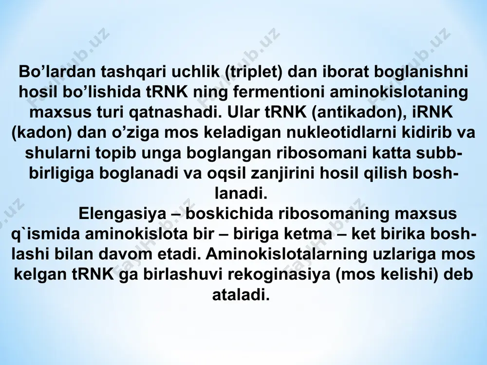 oqsil biosintezi. oqsilning postranslatsion modifikatsiyasi. protein sentizining energiya xarajatlari - Page 5