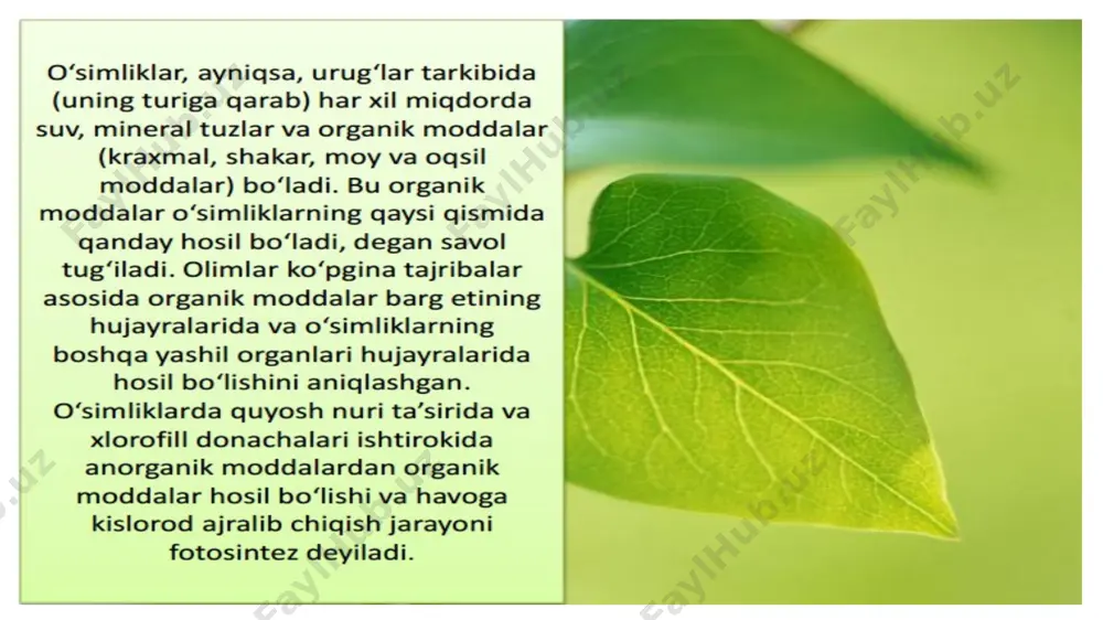 barglarda organik moddalarning hosil bo‘lishi - Page 5