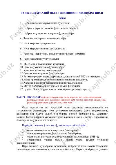 nerv tizimining fiziologiyasi — DOCX