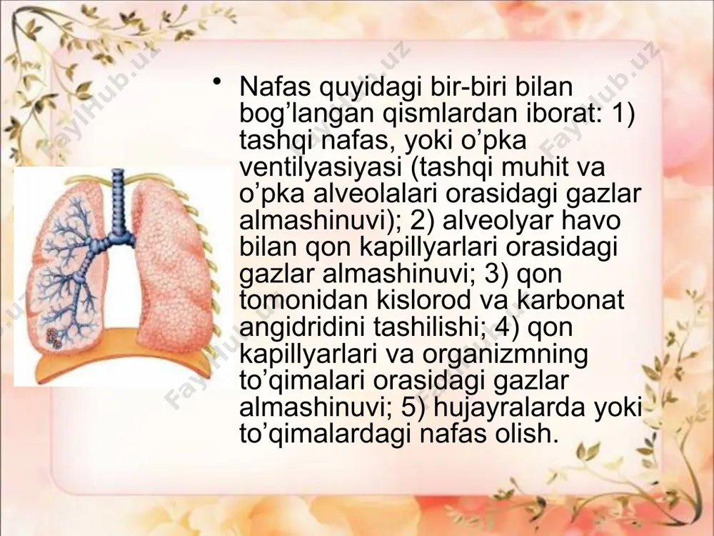 nafas olish fiziologiyasi - Page 4
