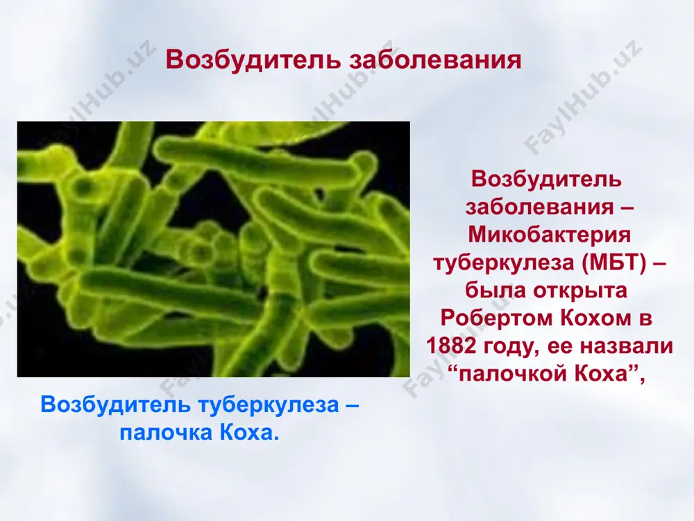 а границе верхней и средней трети наружной поверхности левого плеча.). проба манту проводится 1 раз в год, начиная с возраста 12 мес. делается проба манту – если проба «положительная» тогда нужно обследовать ребенка в диспансере. химиопрофилактика специфическая химиопрофилактика проводится одним или несколькими противотуберкулёзными препаратами под контролем врача-фтизиатра периодическими циклами по 3-4 мес. или непрерывно не менее 6 мес. в существующих эпидемиологических условиях химиопрофилактика уменьшает заболеваемость туберкулёзом в 4—12 раз. химиопрофилактика проводится изониазидом в дозе 10 мг на кг веса, проводится в весенне-осенний период сроком 2-3 месяца. профилактике подлежат: дети и подростки , находящиеся в контакте с туберкулезными больными лица, переболевшие туберкулезом и в легких или других органах имеются остаточные явления, выражающиеся в форме фиброзных полей, рубцов, кальцинатов (петрификатов). больные сахарным диабетом. лица страдающие язвенной болезнью, особенно при наличии остаточных явлений после перенесенного туберкулеза ( в легких, лимфоузлах). об этих изменениях человек может и не знать. лица больные хроническими заболеваниями, постоянно …