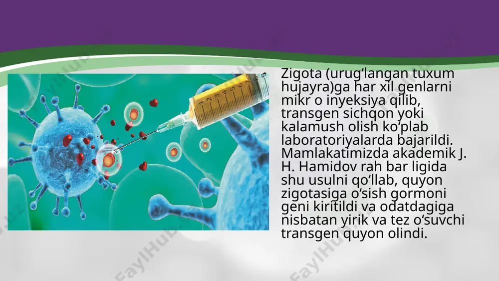 hujayra muhandisligi asosida hayvonlar irsiyatini o‘zgartirish. gibridoma. 10 - sinf - Page 5