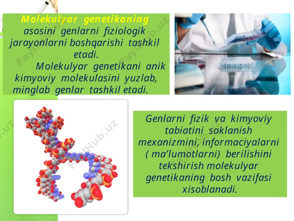 molekulyar genetika irsiy qonuniyatlar va ulardan foydalanish - Page 3