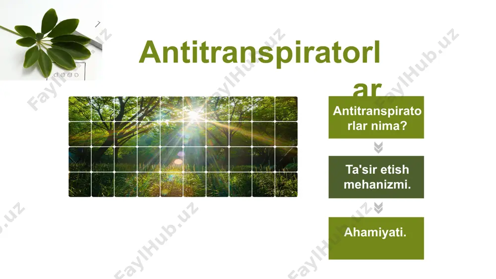 ni oladi. antitranspiratorlar pinolene slikon asosli antitranspiratorlar kaolin tuproq moddalari quyoshdan himoya qatlami hosil qiladi va qizib ketishdan saqlaydi. mum moddalar tabiiy va suniy mum moddalar barg yuzasiga surtiladi va taranspiratsiya kamayadi. lateks asosli antitranspiratorlar barg yuzasida yupqa plyonka hosil qiladi va transpiratsiyani kamaytiradi. suratdagi xona o'simligi ustida mavzuga oid tajriba otkazmoqchi bolib ,tabiiy transpiratsiya jarayonini aniqlash uchun unga salafan yopib issiq sharoitga qoydim.yuqoridagi suratda quruq salofan massi turibdi. o'simlikni bu holati issiq sharoitga qoyilgan vaqti .osimlik 25.11.24 kuni soat 13:30 da tajribaboshlandgandagi holati. bu holati esa 26.11.24 kun soat 14:00 dagi.salofan ichki yuzasida suv tomchilari korinib turibdi.yuqoridagi suratda transpiratsiyadan song salafan massi korinib turibdi. transpiratsiya miqdorini aniqlaymiz 3,2-0,8=2,4 g .24,5 soatda buglangan suv miqdori. bu mavzu amaliy bajarish mumkin bolgan topshiriq edi.ammo topshiriqni samarali amalga oshiriladigan vaqtni boy berdim.hozir qish mavsumida tabiiy transpiratsiya jarayoni deyarli toxtagan.antitranspiratorlar qollash esa natija bermaydi. thank you for watching image1.jpeg image2.jpeg image3.jpeg image4.jpeg image5.jpeg …