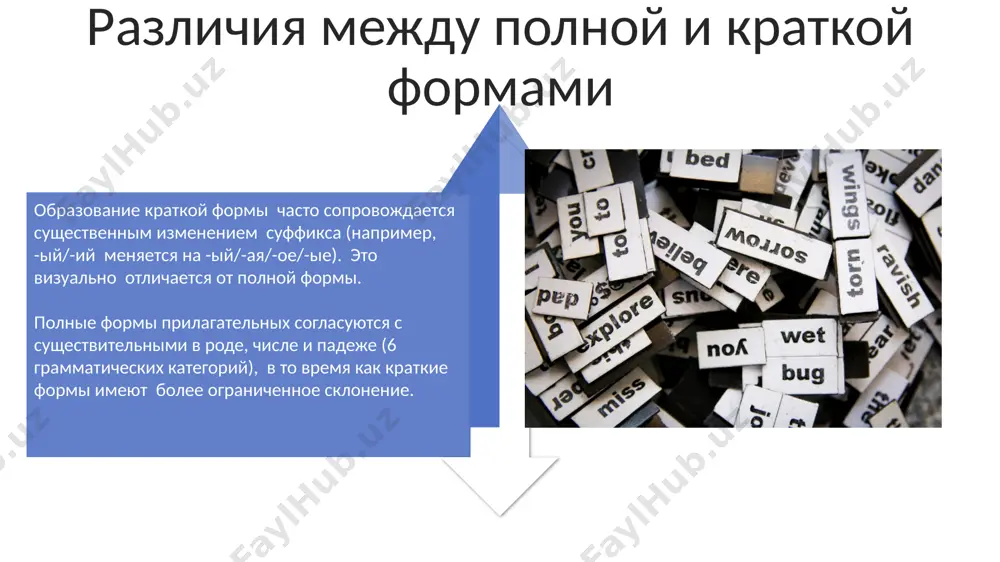 10.jpg image11.jpg image12.jpg image13.jpg image14.jpg image15.jpg image1.jpeg image2.jpeg