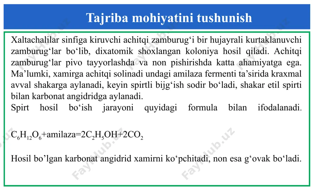 urug`lar taraqqiy etmay qolgan.shunga qaramay har ikkala organizm birga yashab turli muhitga moslanishiga zamburug`lardagi qaysi xususiyat bilan izohlaysiz 9 e’tiboringiz uchun rahmat image1.jpeg image2.jpeg image10.png image3.png image4.png image5.png image6.png image7.png image8.png image9.png image11.jpg image12.jpg image13.jpg image14.jpg image15.jpeg image16.jpg image17.wmf