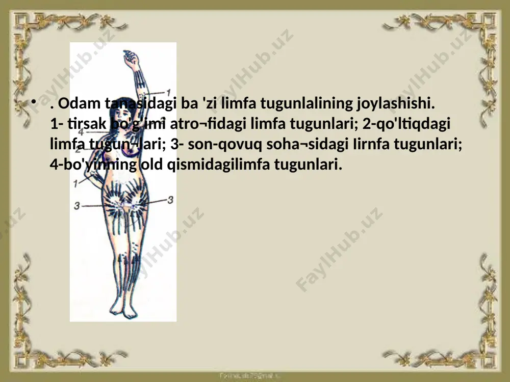 r-biriga qo'shilib, avval kichik, so'ngra o'rta va yirik vena qon tomirlarini hosil qiladi. bosh, bo'yin, ko'krak, qo'l kabi organ¬laming vena tomirlari qo'shilib, yuqorigi kovak venani hosil qiladi; oyoq, chanoq, qorin sohasidagi a'zo va to'qimalaming vena qon tomirlari bir-biriga qo'shilib, pastki kovak venani hosil qiladi. yuqorigi va pastki kovak venalar yurakning o'ng bo'lmachasiga quyiladi. shu bilan katta qon aylanish doirasi tugaydi. qonning yurakning chap qorinchasidan chiqib, tananing bar¬cha a 'zolaridagi arteriyalar, kapillyarlar va venalar bo 'ylab oqib, yurakning 0 'ng bo'lmasiga kelib quyiladigan yo 'ii katta qon aylanish doirasi deb ataladi. shunday qilib, katta qon aylanish doirasi tananing barcha organlari, to'qimalari va hujayralarini oziq moddalar, gormon¬lar, kislorod bilan ta'minlab, moddalar almashinuvi natijasida hosil bo'lgan keraksiz va zaharli moddalami o'ziga qabul qilib, ularni organizmdan chiqarib yuborish vazifasini bajaradi. kichik qoo aylaoish doirasi. bu doira yurakning o'ng qorin¬chasidan chiqadigan o'pka arteriyasi qon tomiridan boshlanadi. o'pka arteriyasi ko'krak qafasida ikkiga bo'linib, o'ng va chap …
