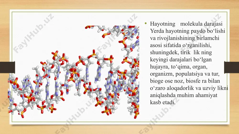 orotni kodlash va uzatish, avlodlar o‘rtasida irsiy axborotning uzviyligi va barqarorligi, fizikkimyoviy jarayonlarning tartibli o‘tishini ta’minlashdan iborat. image5.png image6.png image7.png image8.png image9.jpeg image10.jpeg image11.jpeg image12.jpeg image13.jpeg image14.jpeg image15.png image16.jpeg image17.jpeg image3.png image4.png