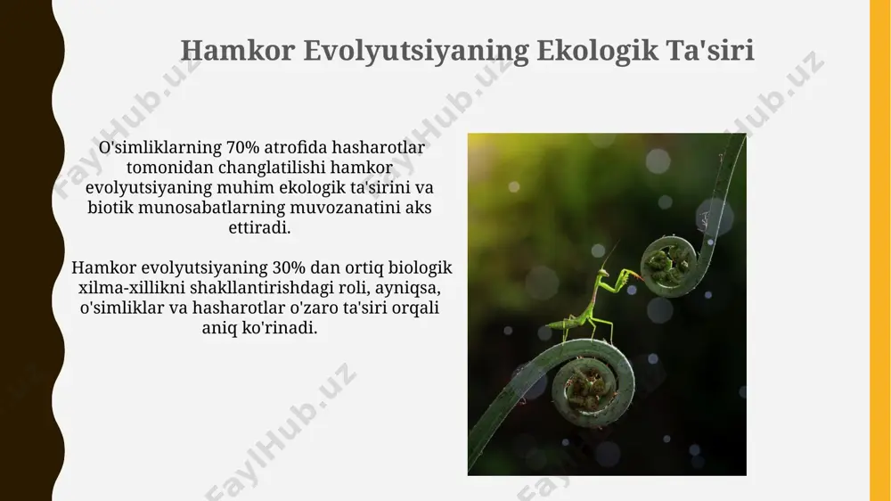 koevolyutsiya va environmentalizm dialektikasi - Page 3