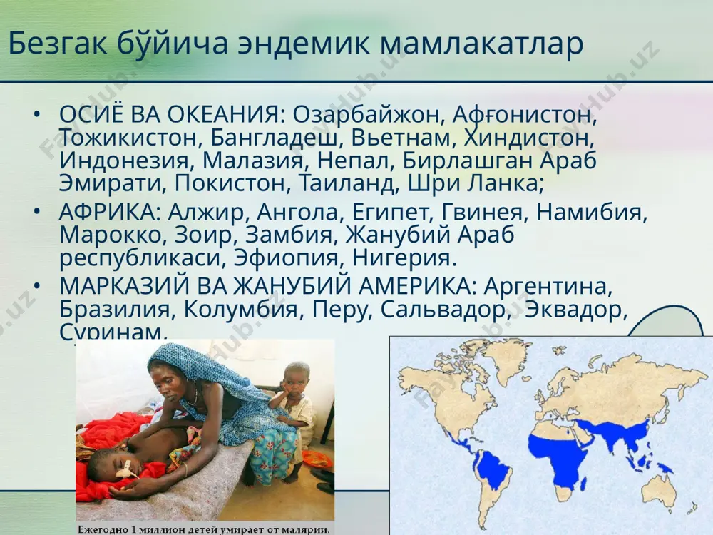 ида қуйидаги даврлар фарқланади: -инкубацион -продормал -безгакни иситма хуружи даври -хуруждан ташқари давр клиника инкубацион давр. 1-3 хафта, 4 кунлик безгакда эса 6 хафтагача. 3 кунлик ва 3 кунликка ўхшаш безгакда брадиспорозоитларни жигарда фаол бўлмаган холатда сақланиши, инкубацион даврни 2 йилгача ва ундан ортиқ чўзилишига олиб келиши мумкин. продромал давр. уч кунлик ва 3 кунликка ўхшаш безгакда: бош оғриғи артралгия миалгия қувватсизлик иш қобилиятини пасайиши хос бўлиб, давомийлиги бир неча соатдан, 2-3 кунгача чўзилади. тропик ва тўрт кунлик безгакда бу давр ривожланмайди. инициал иситма даври. бу давр биринчи бор касалланганларга таалуқли иситмани кўтарилиши титраб-қалтираш, қизиб кетиш билан алмашинуви оғиз қуриши чанқов эрталаб иситмани пасайиши умумий эт увишиши қувватсизлик бош оғриғи миалгия артралгия бел сохасида огрик. давомийлиги 3-5 кун,тропик безгакда 5-7 кунгача. тўрт кунлик безгакка бу даврни бўлиши хос эмас. аниқ безгак пароксизмини интермиттирловчи иситма билан ривожланиши. хуружни давомийлиги ва характери қўзғатувчини турига боғлиқ. 3 кунлик ва 4 кунлик безгакда хуруж …