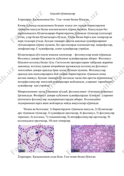 қалқонсимон без — PDF