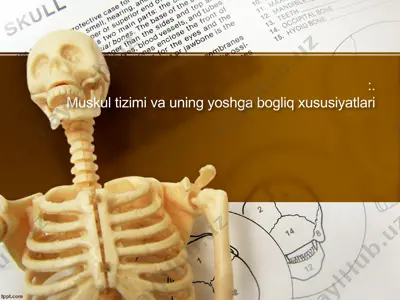 muskultizimivauningyoshgabogliqxususiyatlari — PPTX